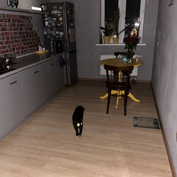 Сдается Комната, 13 м²