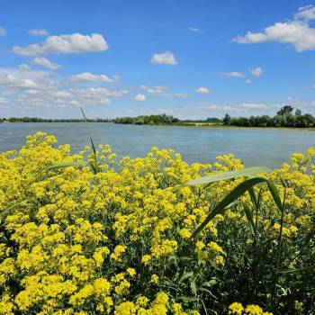 Продается Дом, 178 м²