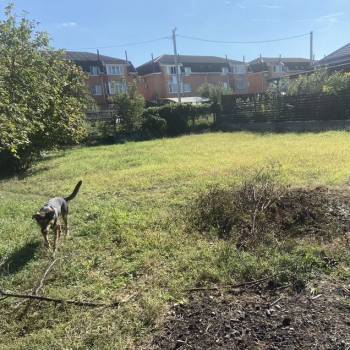 Продается Участок, 450 м²