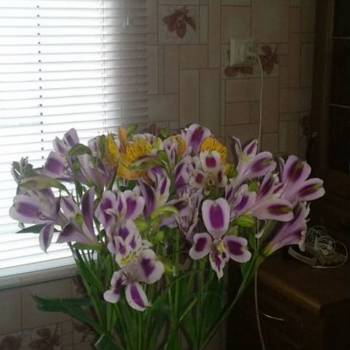 Продается Дом, 65 м²