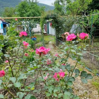 Продается Дом, 60 м²