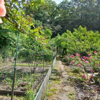 Продается Дом, 60 м²