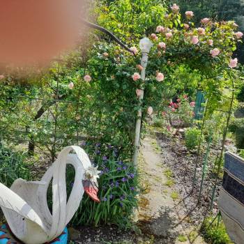 Продается Дом, 60 м²