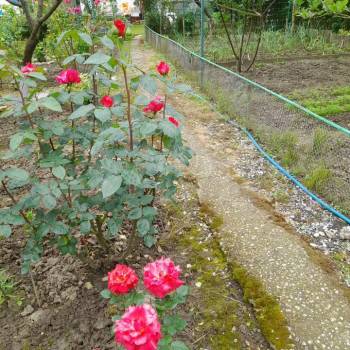 Продается Дом, 60 м²