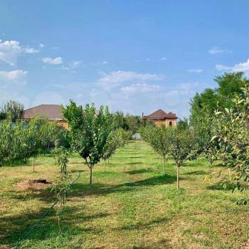 Продается Дом, 65 м²