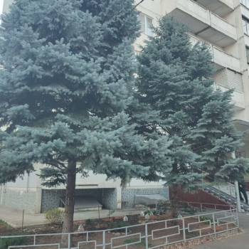 Продается 3-х комнатная квартира, 93 м²