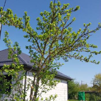 Продается Участок, 600 м²