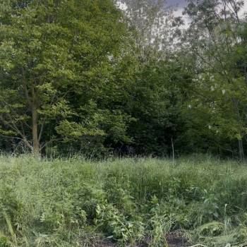 Продается Участок, 1300 м²