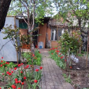 Продается Участок, 280 м²