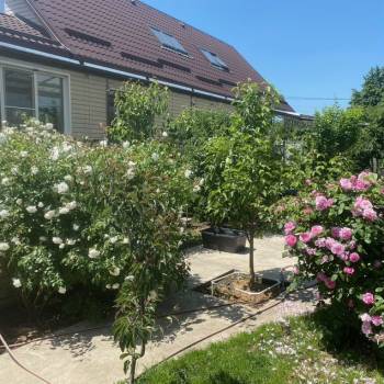 Продается Дом, 215 м²