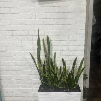 Продается 2-х комнатная квартира, 67,4 м²