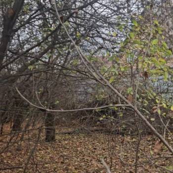 Продается Участок, 800 м²