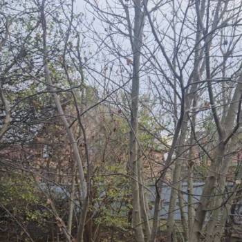 Продается Участок, 800 м²