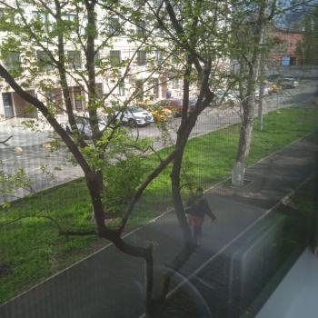 Сдается 1-комнатная квартира, 29,4 м²