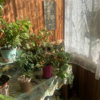 Продается Многокомнатная квартира, 75 м²