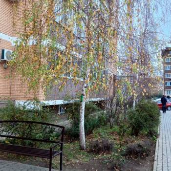 Сдается Нежилое помещение, 39 м²