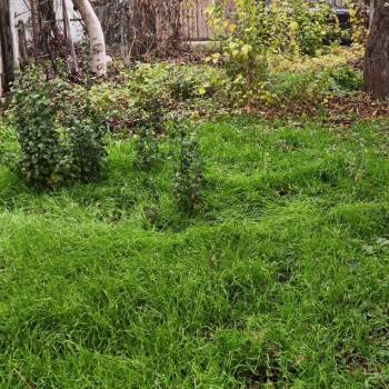 Продается Участок, 540 м²