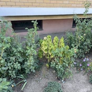 Продается Нежилое помещение, 34 м²