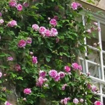 Продается Участок, 600 м²