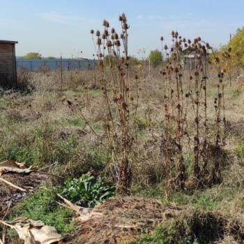 Продается Участок, 700 м²