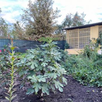 Продается Дом, 203 м²