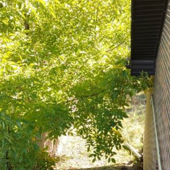 Продается Дом, 249 м²