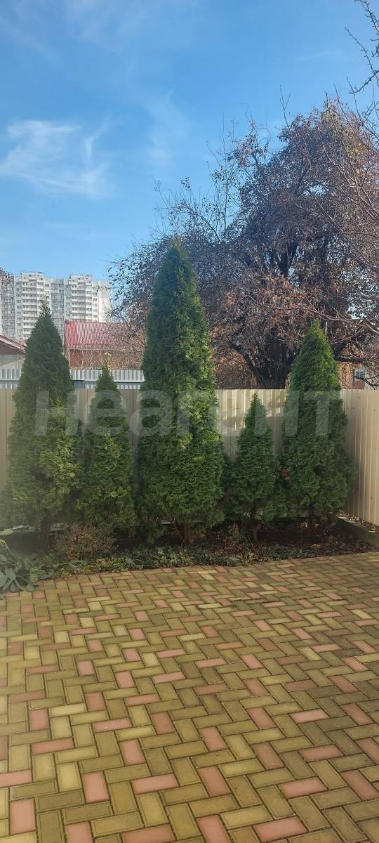 Фотография №11