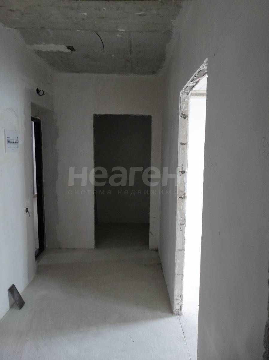 Фотография №6