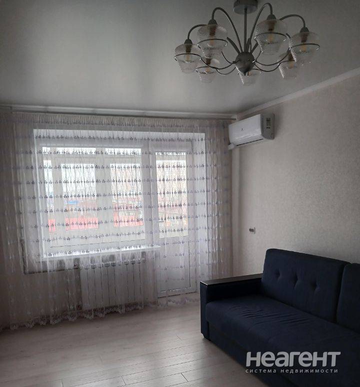 Фотография №3