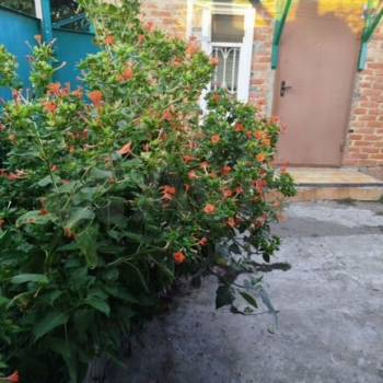 Сдается Комната, 16 м²