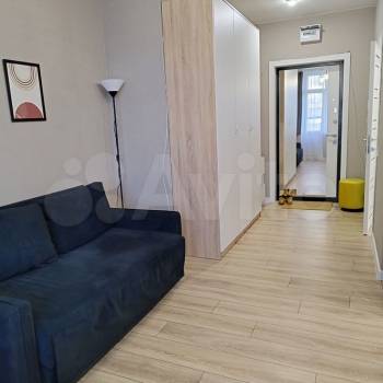 Сдается 1-комнатная квартира, 24,7 м²
