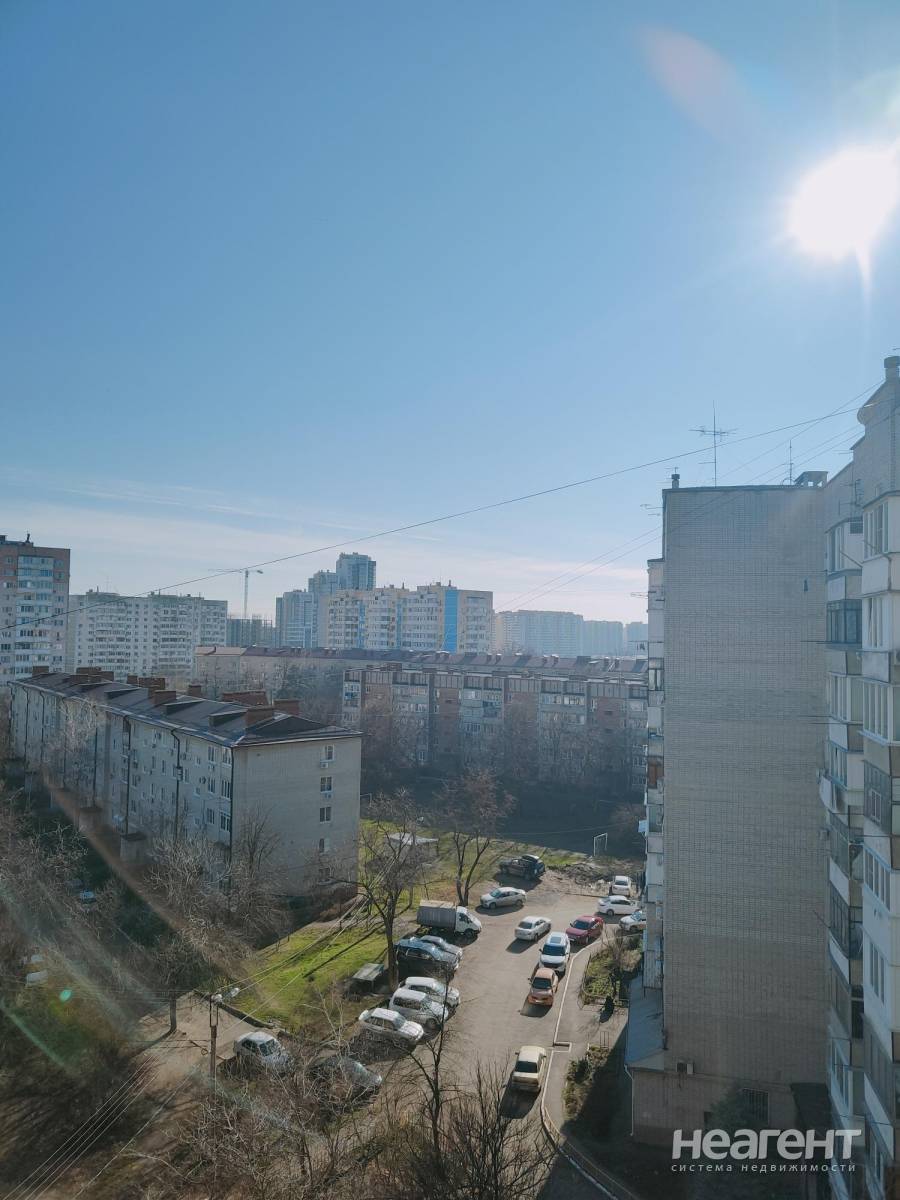 Фотография №2