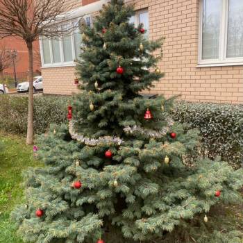 Сдается 2-х комнатная квартира, 55 м²