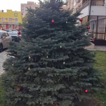 Сдается 2-х комнатная квартира, 55 м²