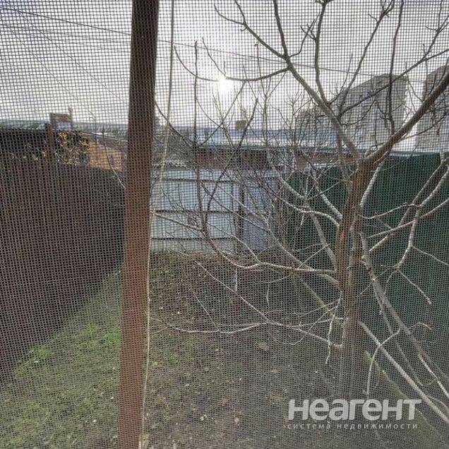 Фотография №2