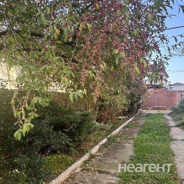 Фотография №3