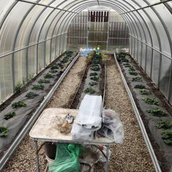 Продается Дом, 36 м²