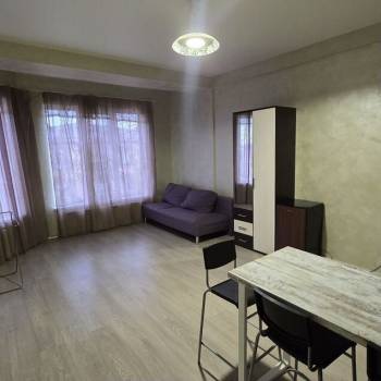 Сдается 1-комнатная квартира, 29 м²