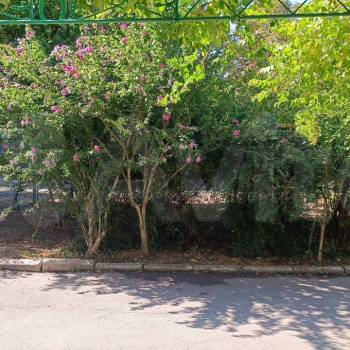 Продается 1-комнатная квартира, 31 м²