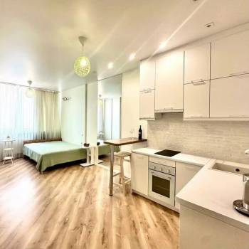 Сдается 1-комнатная квартира, 25,6 м²