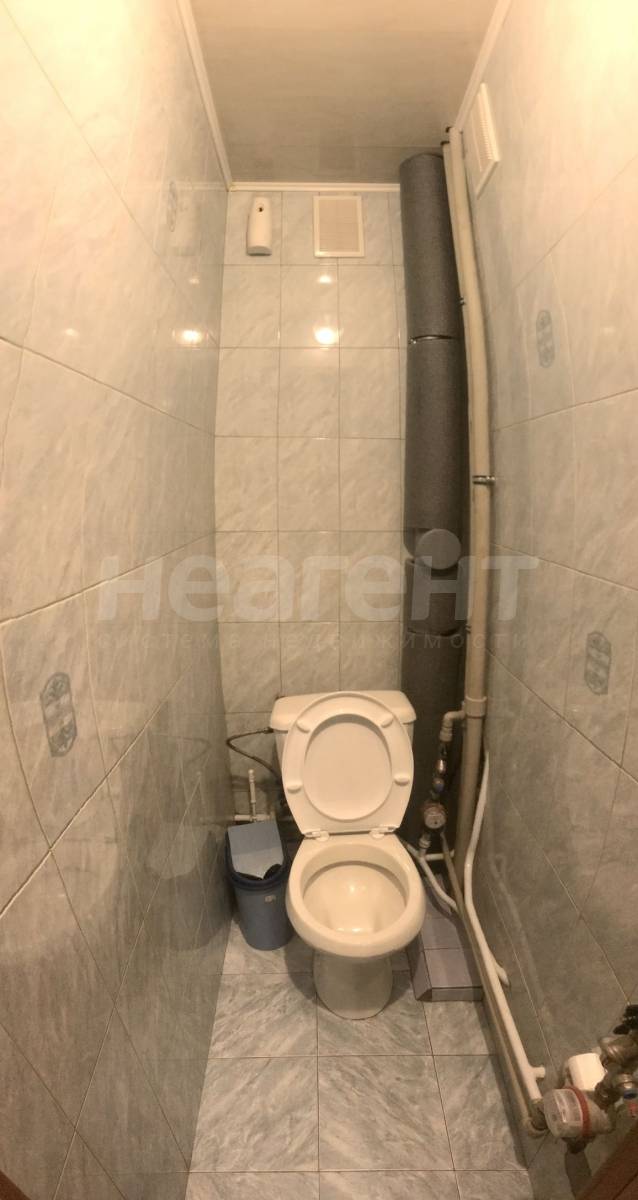 Фотография №8