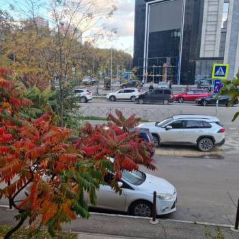 Сдается Нежилое помещение, 78,5 м²