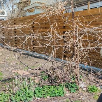 Продается Участок, 300 м²