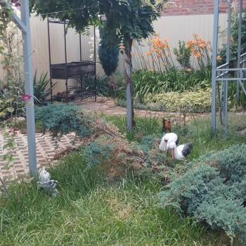 Сдается Дом, 45 м²