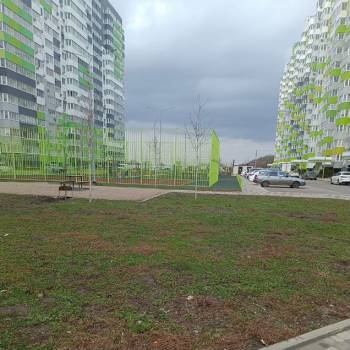 Сдается 1-комнатная квартира, 26,2 м²