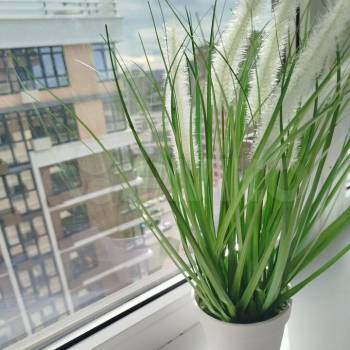 Сдается 1-комнатная квартира, 21 м²