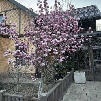 Продается Дом, 300 м²