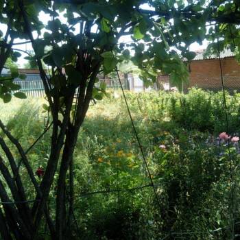 Продается Участок, 700 м²