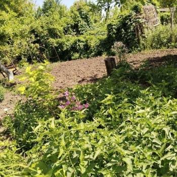 Продается Дом, 52 м²