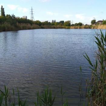 Сдается Комната, 19 м²